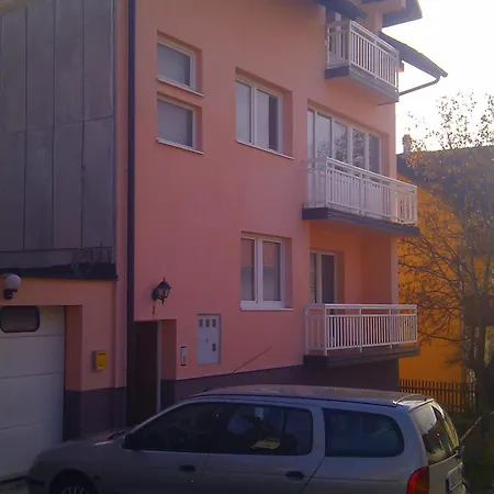U Centru Grada